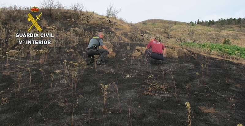 La colaboración ciudadana resultó fundamental para el esclarecimiento de los hechos (Foto TA)